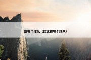 鹊哪个球队（欧文在哪个球队）