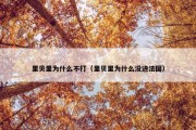 里贝里为什么不打（里贝里为什么没进法国）