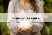 森纳马德里队徽？ 马德里竞技队徽？
