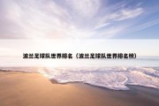 波兰足球队世界排名（波兰足球队世界排名榜）