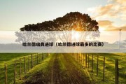 哈兰德瑞典进球（哈兰德进球最多的比赛）