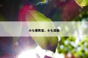 小七看阵容，小七混服