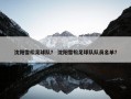 沈阳雪松足球队？ 沈阳雪松足球队队员名单？