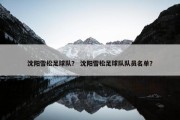 沈阳雪松足球队？ 沈阳雪松足球队队员名单？