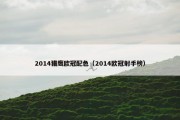 2014猎鹰欧冠配色（2014欧冠射手榜）