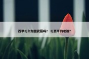 西甲扎尔加盟武磊吗？ 扎西甲的老婆？
