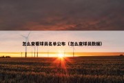 怎么查看球员名单公布（怎么查球员数据）