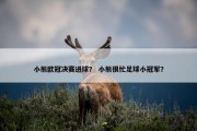 小熊欧冠决赛进球？ 小熊很忙足球小冠军？