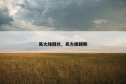 吴大维回放，吴大维视频