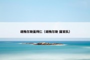 胡梅尔斯面拜仁（胡梅尔斯 国家队）