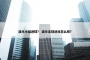 波兰小组进球？ 波兰足球进攻怎么样？
