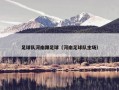 足球队河南踢足球（河南足球队主场）