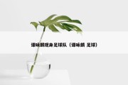 谭咏麟现身足球队（谭咏麟 足球）