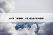 台球入门进球规？ 台球入门进球规则图解？