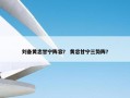 刘备黄忠甘宁阵容？ 黄忠甘宁三势阵？