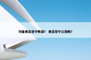 刘备黄忠甘宁阵容？ 黄忠甘宁三势阵？