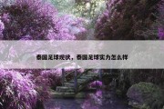 泰国足球现状，泰国足球实力怎么样