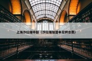 上海沙拉维中超（沙拉维加盟申花转会费）