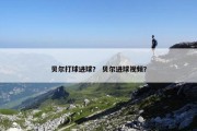 贝尔打球进球？ 贝尔进球视频？