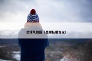 足球队徽最（足球队徽含义）