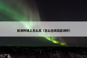 欧洲杯线上怎么买（怎么在线买欧洲杯）