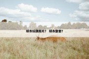 球衣玩偶照片？ 球衣整套？