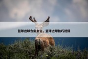 篮球进球合集女生，篮球进球技巧视频