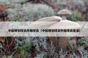 中超规划球员外籍球员（中超规划球员外籍球员是谁）