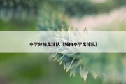 小学分校足球队（城内小学足球队）