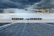 官匹回放语音？ csgo官匹回放语音？