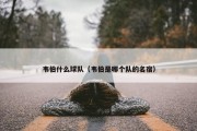 韦伯什么球队（韦伯是哪个队的名宿）