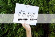 曼联2号仔？ 曼联21？