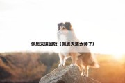 佩恩天道回放（佩恩天道太帅了）