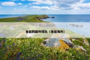 鲁能购国外球队（鲁能海外）