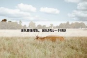 团队要像球队，团队好比一个球队