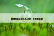 昆明精英足球队怎么样？ 昆明精英谁？