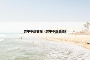 苏宁中超赛程（苏宁中超战绩）