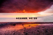 申花足球联赛，申花 足球