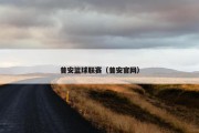 普安篮球联赛（普安官网）