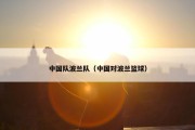 中国队波兰队（中国对波兰篮球）