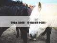 荣耀主场联赛？ 荣耀邀请赛中国队？