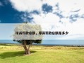 球员罚款总额，球员罚款总额是多少