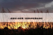 库里带入季后赛（库里有季后赛绝杀吗）