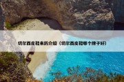 切尔西皮鞋来历介绍（切尔西皮鞋哪个牌子好）