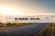 拜仁深圳恒大阵，恒大03拜仁