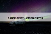 明星组成足球队条件，足球队明星的名字大全