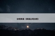 分析网易（网易公司分析）
