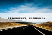 c罗本届欧洲杯照片高清，c罗欧冠图片手机壁纸