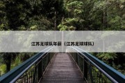 江苏足球队年薪（江苏足球球队）