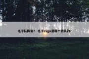 毛子队阵容？ 毛子csgo是哪个战队的？